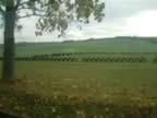 Focipálya, Alsóvadász (83kb)