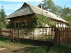 DSCF0067.JPG (123kb)