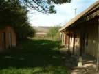DSCF0071.JPG (97kb)