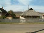 DSCF0077.JPG (86kb)