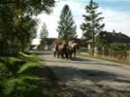 DSCF0081.JPG (118kb)