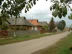 DSCF0114.JPG (102kb)