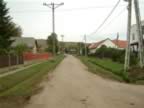 DSCF0118.JPG (84kb)