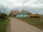 DSCF0123.JPG (74kb)