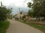 DSCF0125.JPG (101kb)