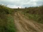 DSCF0130.JPG (96kb)