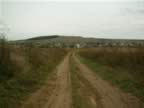 DSCF0131.JPG (70kb)