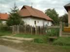 DSCF0139.JPG (107kb)