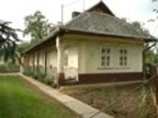 DSCF0143.JPG (109kb)