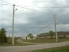 DSCF0157.JPG (61kb)