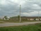 DSCF0159.JPG (71kb)