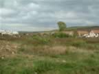 DSCF0163.JPG (88kb)