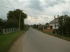 DSCF0171.JPG (68kb)