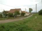 DSCF0172.JPG (89kb)