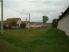 DSCF0173.JPG (73kb)
