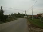 DSCF0174.JPG (56kb)