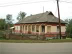 DSCF0176.JPG (85kb)
