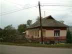 DSCF0177.JPG (72kb)