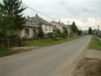 DSCF0180.JPG (82kb)
