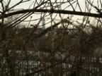 2003_0119_151232AA.JPG (93kb)