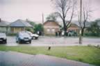 szret02_02_c.jpg (73kb)