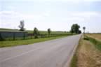 102_0292.JPG (61kb)
