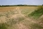 103_0303.JPG (101kb)