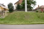 103_0317.JPG (101kb)