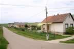 103_0381.JPG (68kb)
