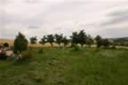 104_0437.JPG (69kb)