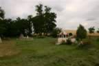 104_0438.JPG (77kb)