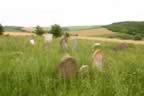 104_0442.JPG (88kb)