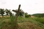 104_0453.JPG (83kb)