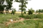 104_0455.JPG (116kb)
