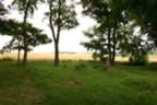 104_0457.JPG (112kb)