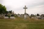 104_0467.JPG (69kb)