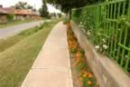 104_0484.JPG (106kb)