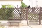 106_0649.JPG (98kb)