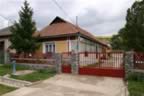 106_0655.JPG (91kb)