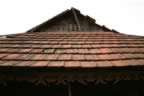 106_0666.JPG (62kb)