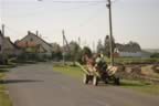 130_3050.JPG (66kb)