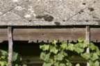 130_3065.JPG (105kb)