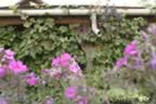 130_3093.JPG (101kb)