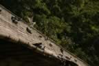 131_3113.JPG (92kb)