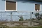 132_3211.JPG (84kb)