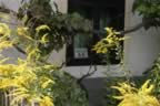 132_3275.JPG (104kb)