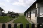 132_3277.JPG (66kb)