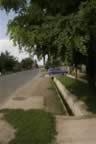 133_3311.JPG (89kb)