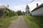 133_3317.JPG (88kb)