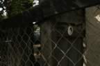 133_3318.JPG (71kb)